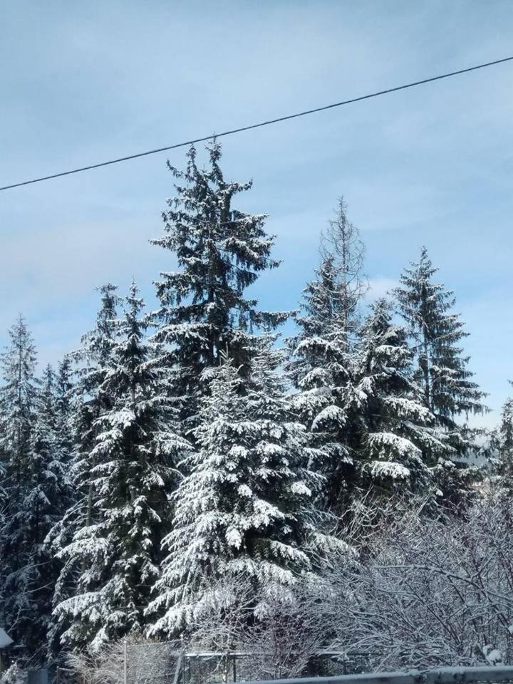 Cicha Dolinka Apartman Zakopane Kültér fotó