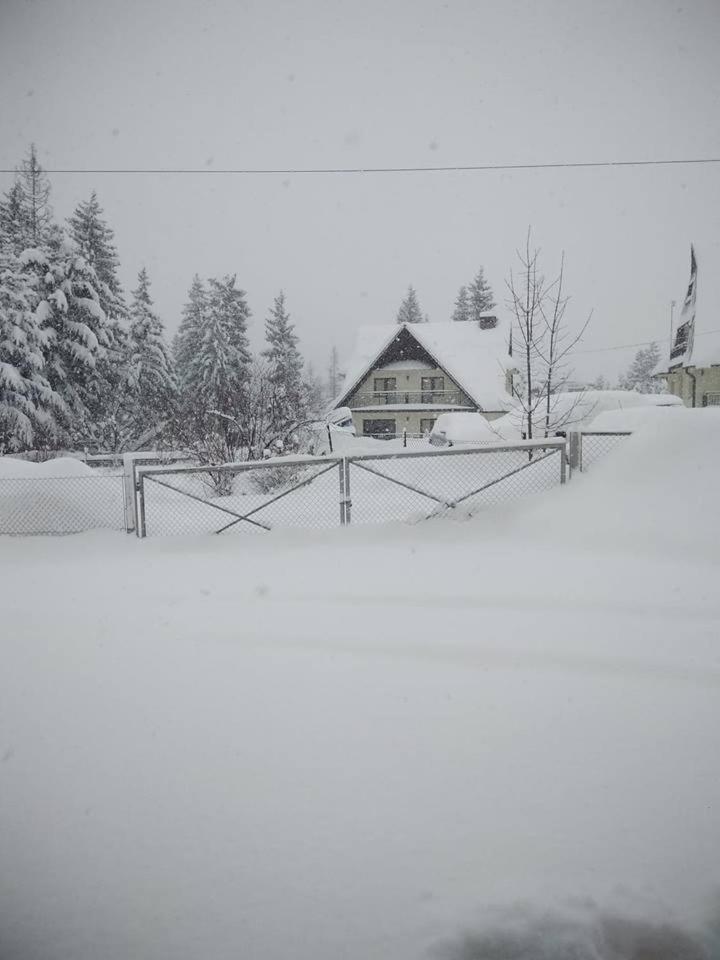 Cicha Dolinka Apartman Zakopane Kültér fotó